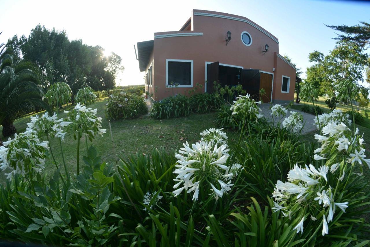Apartamento La Monturera, Loft de campo Colonia Del Sacramento Exterior foto