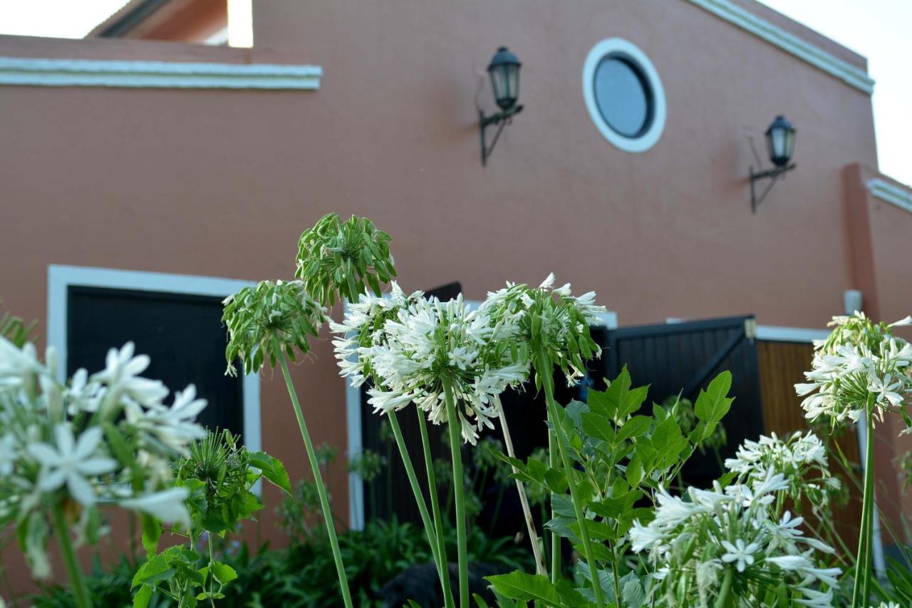 Apartamento La Monturera, Loft de campo Colonia Del Sacramento Exterior foto