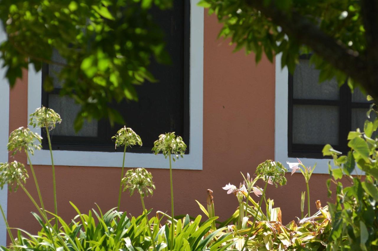 Apartamento La Monturera, Loft de campo Colonia Del Sacramento Exterior foto