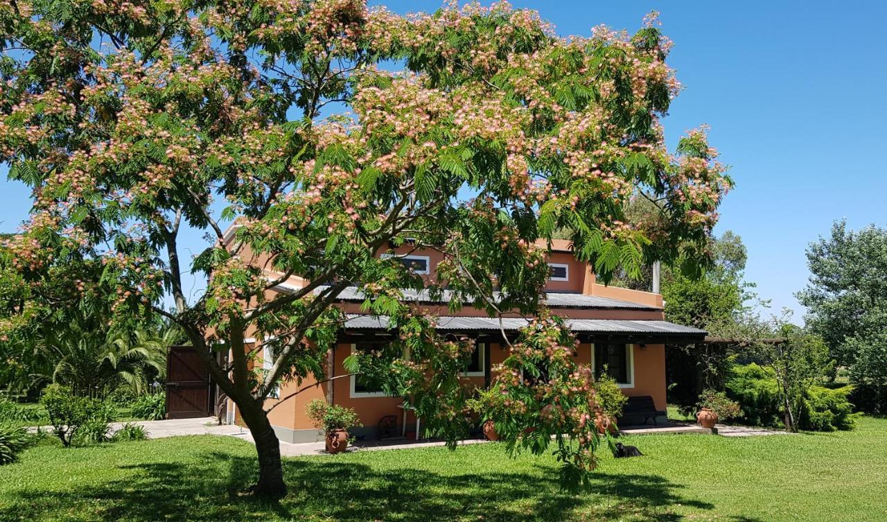 Apartamento La Monturera, Loft de campo Colonia Del Sacramento Exterior foto